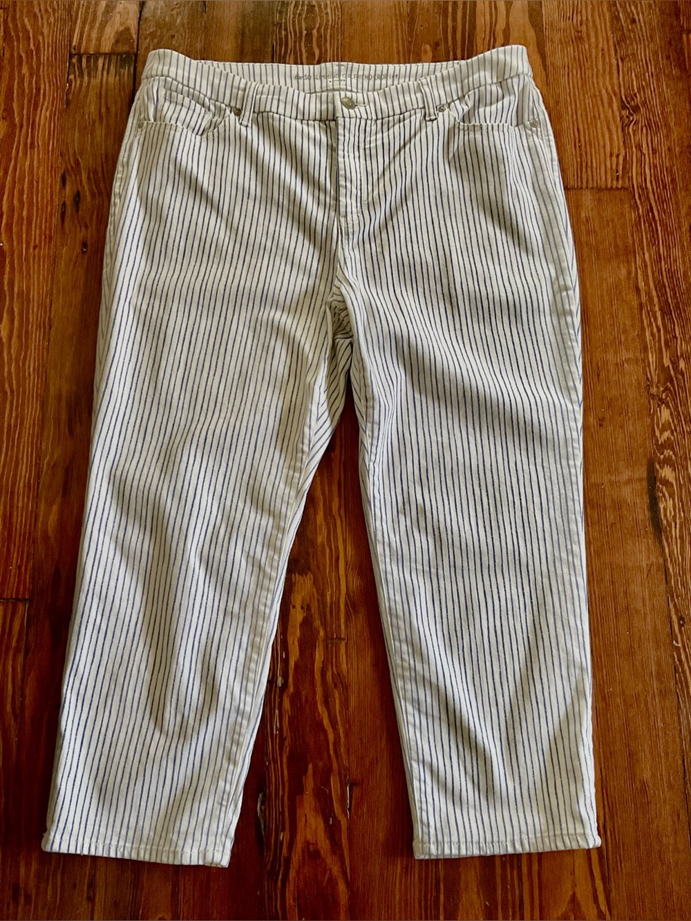 CHICOS BLUE STRIPED JEAN/PANTS NICE 3/PETITE VERY NICE 14/16